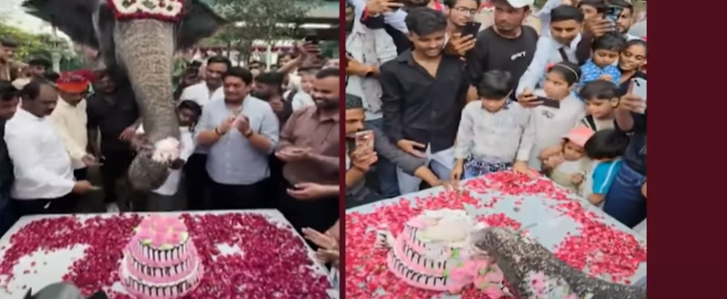 “பிறந்த நாளில் பிரம்மாண்டம்”