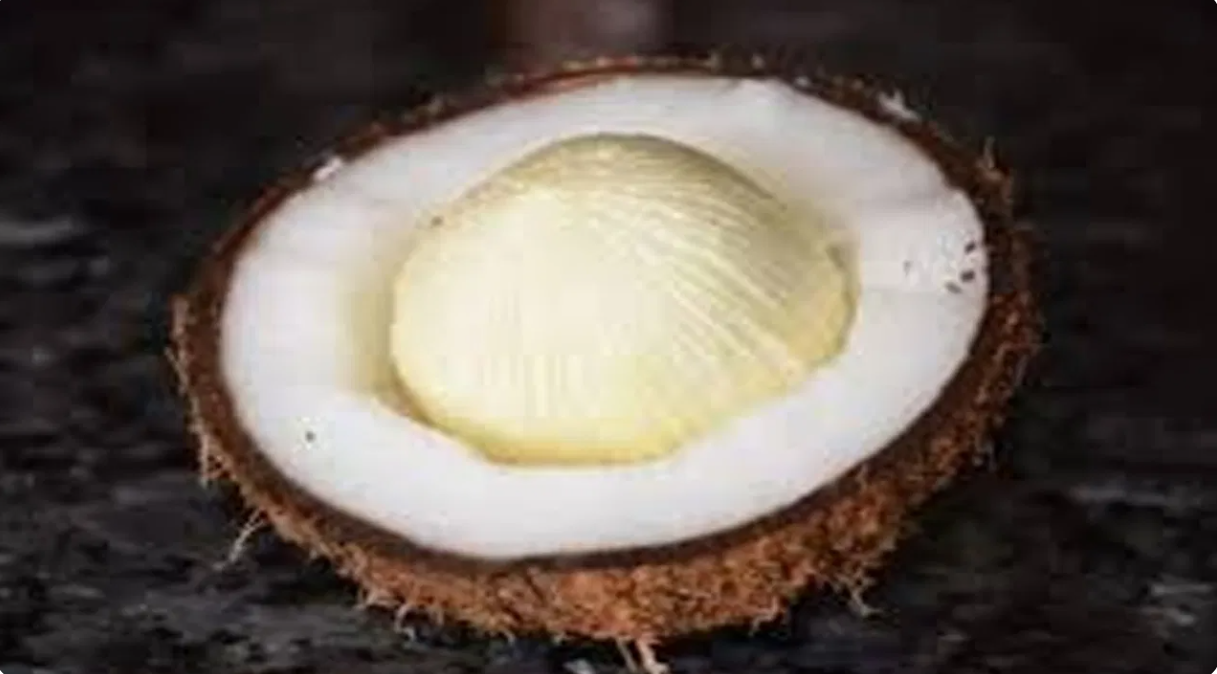 “Glow, Health & Energy – தேங்காய் பூவின் Secret Benefits!”