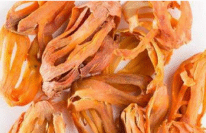 பிரியாணி மசாலாவில் பல ஆரோக்கிய நன்மைகள் உள்ளன; அது உடலுக்கு தங்கம் போல் பயனளிக்கும்.