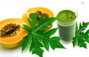 இது சாதாரண இலை இல்ல.. சர்க்கரை முதல் டெங்கு வரை அனைத்திற்கும் இது ஒரு அருமருந்து..