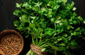 இந்த விதைகளை தண்ணீரில் ஊறவைத்து, தினமும் ஒரு முறை குடித்தால், வயிற்றுப் பிரச்சனைகள் எல்லாம் தீரும்!