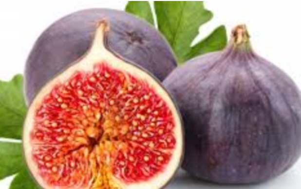 Screenshot 2025-11-26 125142