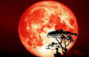 “2025-ன் கடைசி சூப்பர்மூன் வருது! வானம் கொடுக்கும் மாபெரும் ஷோவை மிஸ் பண்ணாதீங்க!”