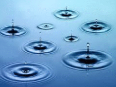 “சின்ன துளி பெரு வெள்ளம்: ஒருவனின் முயற்சி, பலரின் மாற்றம்”