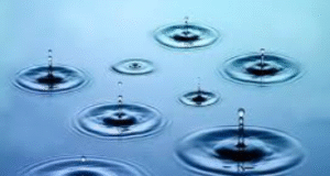 “சின்ன துளி பெரு வெள்ளம்: ஒருவனின் முயற்சி, பலரின் மாற்றம்”