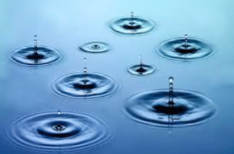 “சின்ன துளி பெரு வெள்ளம்: ஒருவனின் முயற்சி, பலரின் மாற்றம்”