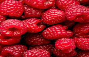 இந்த அழகான பழத்தின் அற்புதமான நன்மைகள்.. இதய ஆரோக்கியத்திற்கு ஒரு அருமருந்து..