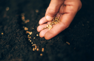 “அன்றைய அவமதிப்பு இன்று வாழ்க்கைப் பாடமாக மாறியது – விதைத்ததை தான் அறுப்போம்”