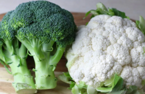 தினமும் ப்ரோக்கோலி சாப்பிடுவதால் கிடைக்கும் நன்மைகள்..