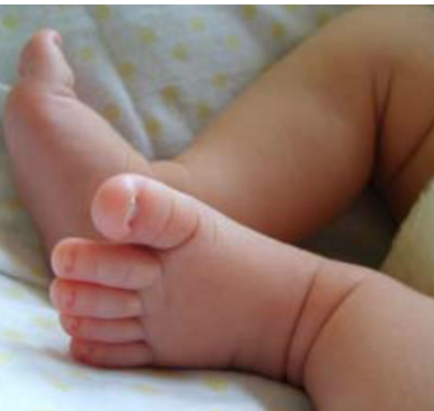 Screenshot 2025-12-27 120138