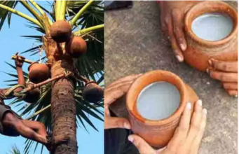 “தமிழ்நாட்டில் முதல் முறை! கள் இறக்கும் தொழிலுக்கு மத்திய அரசு அடையாள அட்டை”