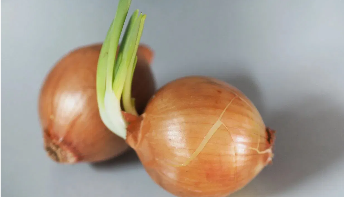 Screenshot 2025-12-27 191316