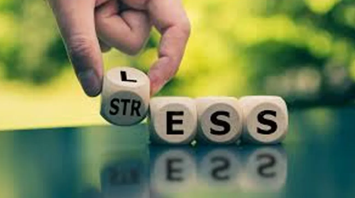 Screenshot 2025-12-30 190656