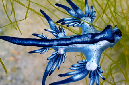 Screenshot 2026-01-01 212000