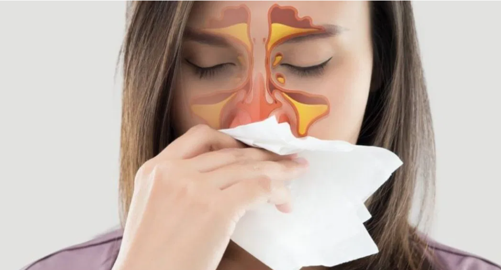 Screenshot 2026-01-05 194926