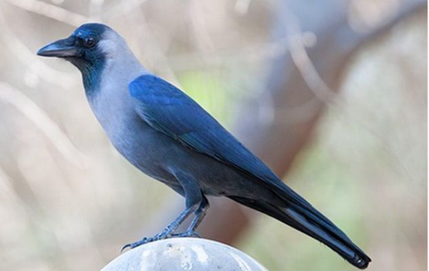 Screenshot 2026-01-05 204423