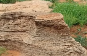 கடல் மறைந்த நிலமா இது? தூத்துக்குடி அருகே அறிவியல் ஆய்வு தொடக்கம்