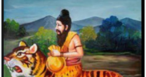 “கோயிலும் இல்லை… சமாதியும் இல்லை… ஆனாலும் உயிரோடு வாழும் புலிப்பாணி சித்தர்!”