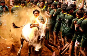 ஜல்லிக்கட்டு: தமிழரின் உயிரோடு ஓடும் வரலாறு