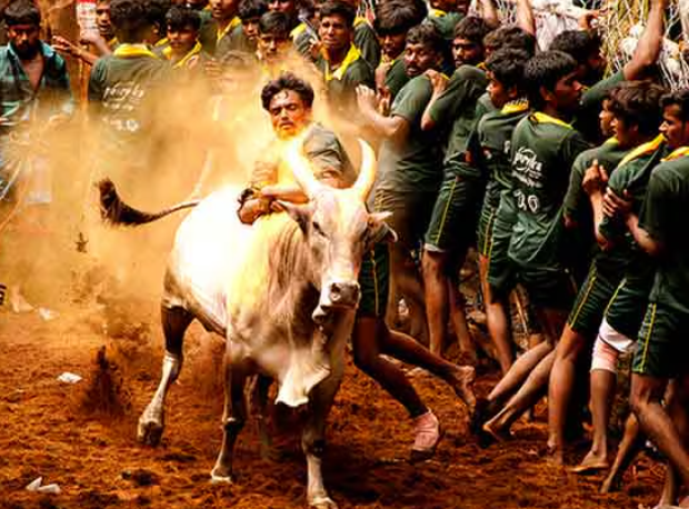 Screenshot 2026-01-08 150038