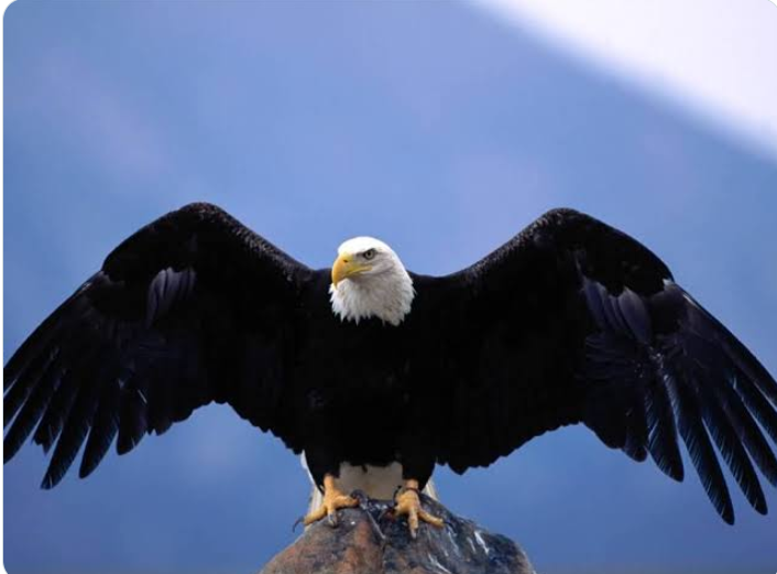 Screenshot 2026-01-09 140836