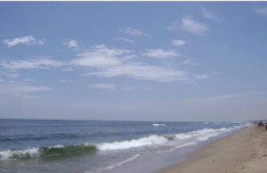 “பொங்கல் விடுமுறை: மெரினாவில் கட்டுப்பாடுகள்”