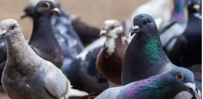 Screenshot 2026-01-14 204023