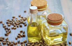 ஆமணக்கு எண்ணெயின் ரகசியத்தை நீங்கள் அறிந்தால், நீங்கள் அதை ஒருபோதும் விட்டுவிட மாட்டீர்கள்.