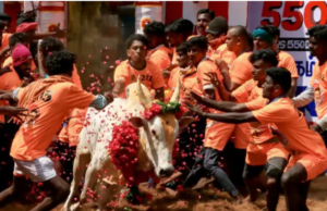 “தமிழர் வீர மரபின் அடையாளம்: ஜல்லிக்கட்டு!”