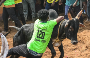 வரலாறு படைத்த சூரியூர் ஜல்லிக்கட்டு – முதல் பரிசாக கார் வென்ற மாவீரர் மூர்த்தி!