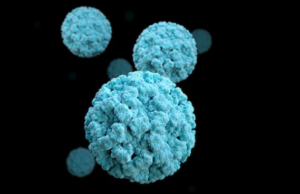 ”சீனாவில் பரபரப்பு – பள்ளி மாணவர்களுக்கு நோரோ வைரஸ் தொற்று”!