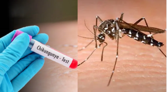 Screenshot 2026-01-22 094407