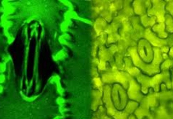 Screenshot 2026-01-22 111943