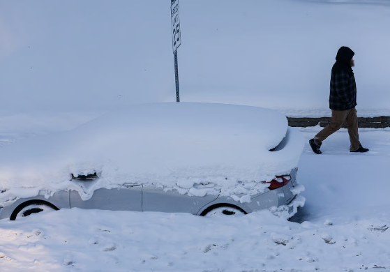 Screenshot 2026-01-24 184230