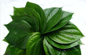 வெற்றிலையால் எத்தனை ஆரோக்கிய நன்மைகள் தெரியுமா?