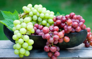 ”கெட்ட கொழுப்பைக் குறைக்கும் இனிய பழம் – திராட்சை”!