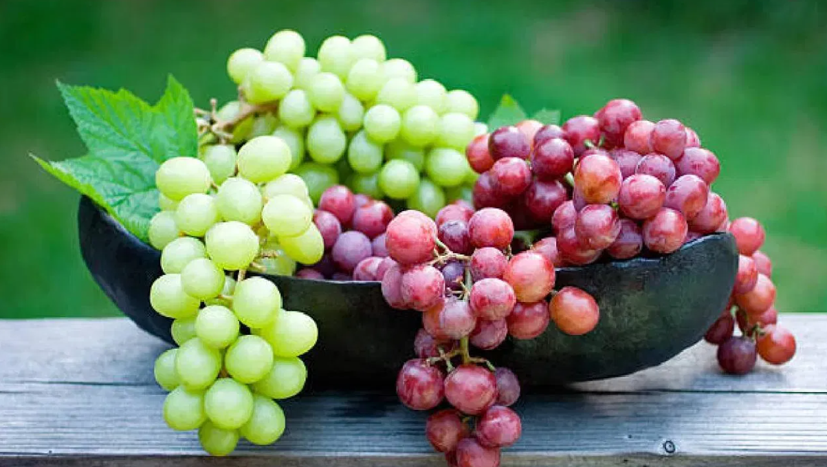 Screenshot 2026-01-26 161917