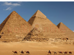 “4500 ஆண்டுகளாக சவால் விடும் கட்டிடம்: மனித அறிவின் உச்சம் பிரமிடுகள்”