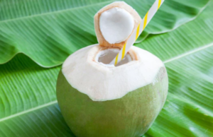 குளிர்காலத்தில் தேங்காய் தண்ணீர் குடிக்கலாமா? எப்போது குடிப்பது நல்லது?