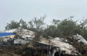 “அரசு விமான விபத்தில் அரசியல்வாதி உயிரிழப்பு”