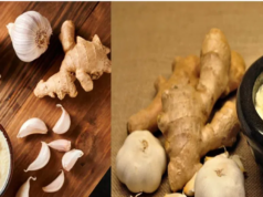 இஞ்சி–பூண்டு விழுது: நீண்ட நேரம் புத்துணர்ச்சியும் சுவையும் காக்கும் குறிப்புகள்