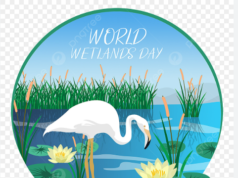 “பிப்ரவரி 2 உலக ஈரநிலைகள் தினம்-World Wetlands Day”