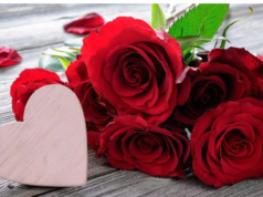 “ரோஜா பேச ஆரம்பிச்ச நாள் தான் ரோஸ் டே…‘I love you’ சொல்ல முடியாதவர்களுக்காக வந்த நாள்”