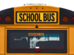 ஒரே இன்ஜின் எண்ணில் 15,849 வாகனங்கள்! மெகா மோசடியை அம்பலப்படுத்திய சிஏஜி அறிக்கை! cag-report-assam-assembly-vehicle-registration-scam